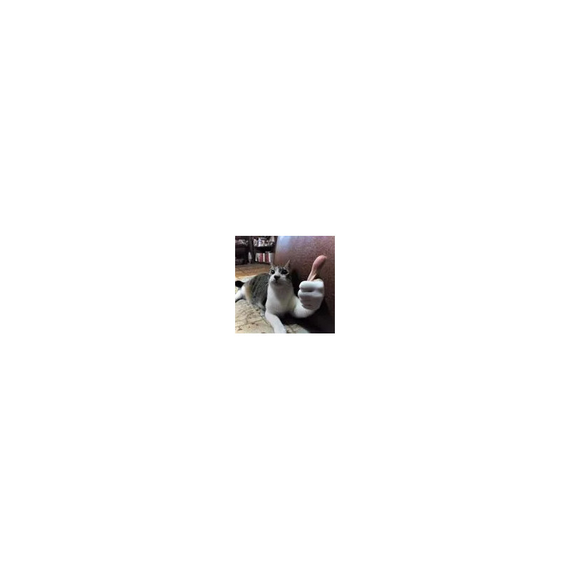 chat pouce