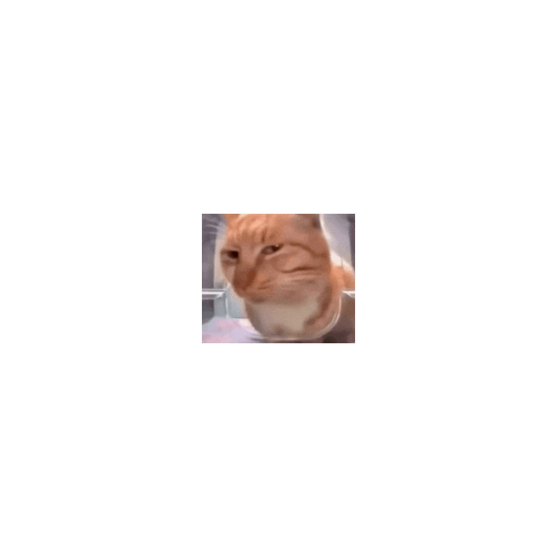jsp