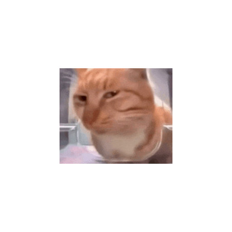 jsp